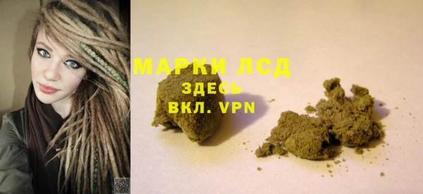 гидра Осинники