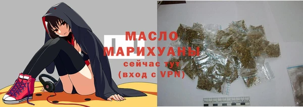 гидра Вяземский