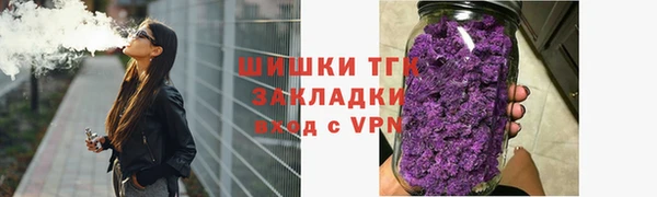 гидра Вяземский