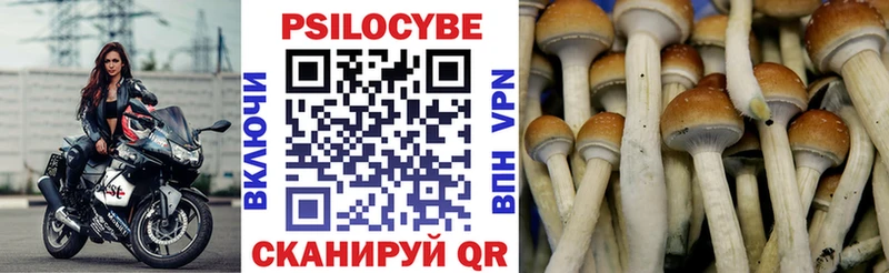 Псилоцибиновые грибы Magic Shrooms Купить Хадыженск