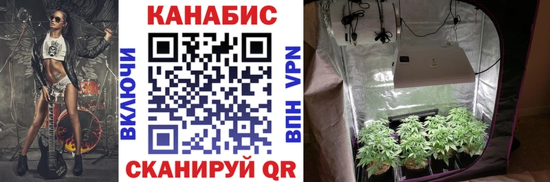 Бошки марихуана Bruce Banner  Купить  Хадыженск 